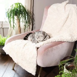 Cheshire and Wain London Cat Cloud® Throw & Bed Set in Shearling Cream